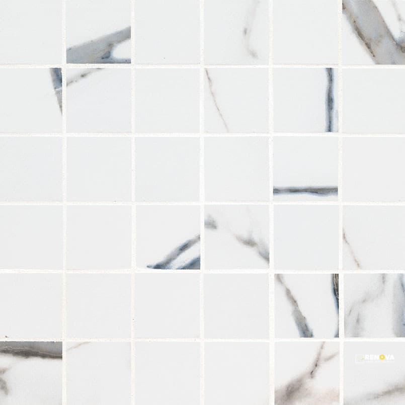 SAVOY AZULA 2X2 MATTE MOSAIC