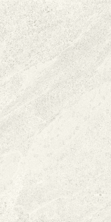 TUNE SNOW 12" X 24"