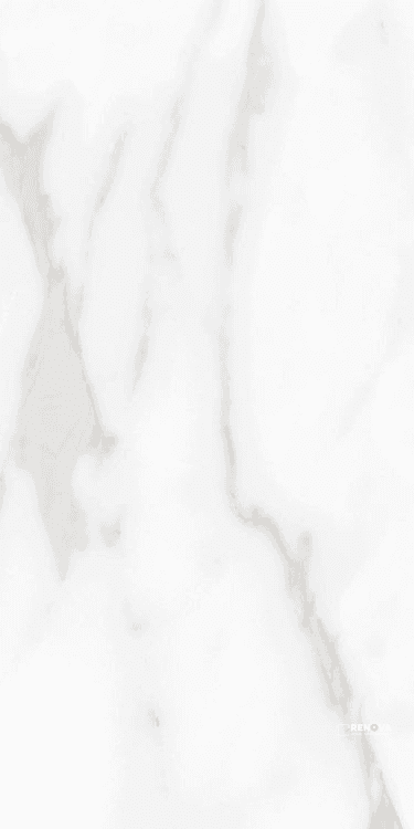 CARENZA BIANCA POLISHED 12" X 24"