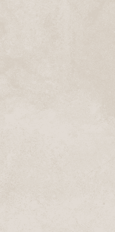 RANIA MARFIL MATTE 24" X 48"