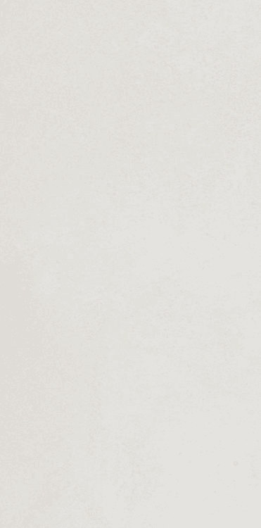 RANIA BLANCO MATTE 24" X 48"