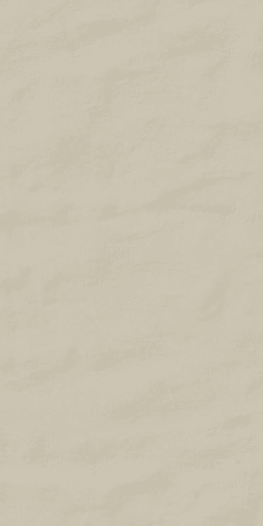 NEUTRA 02 POLVERE 24" X 48"
