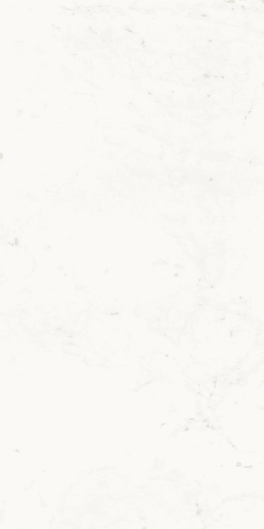 PURE CARRARA LUX 24" X 48"