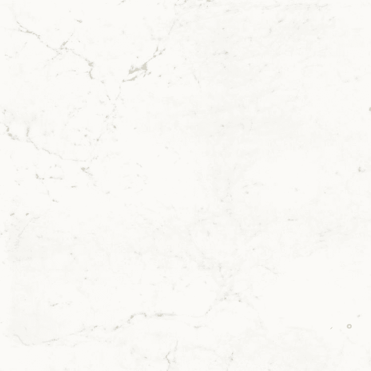 PURE CARRARA NATURAL 48" X 48"