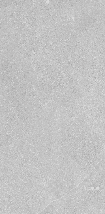 MADISON ARGENT 12" X 24"