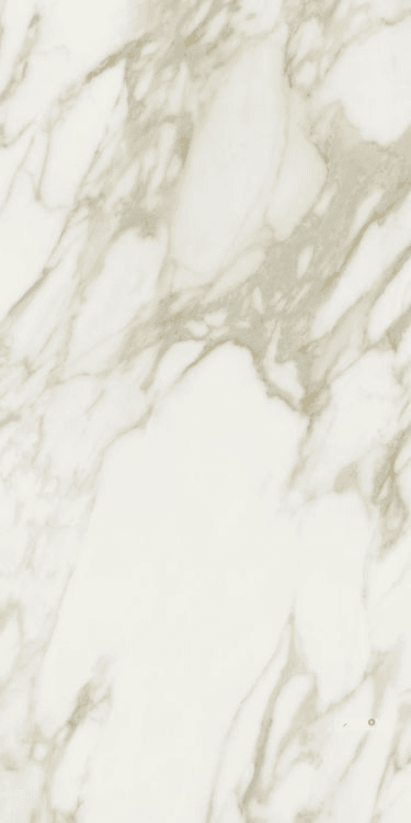 ETOILE CREME MATTE 24" X 48"