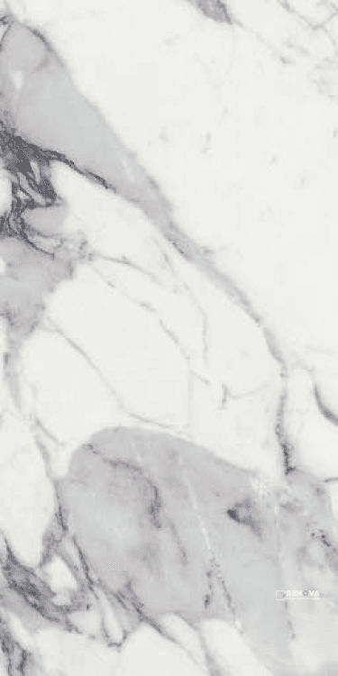 ORIGINES ARGENT GLOSSY 24" X 48"