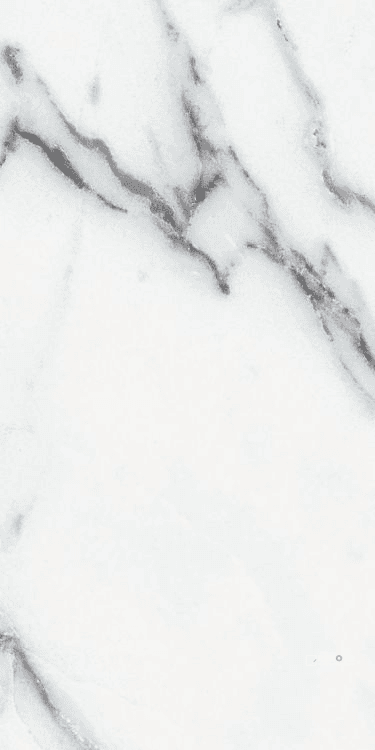 ORIGINES ARGENT MATTE 12" X 24"