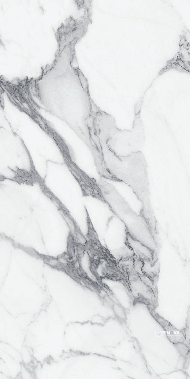 ORIGINES ARGENT MATTE 24" X 48"