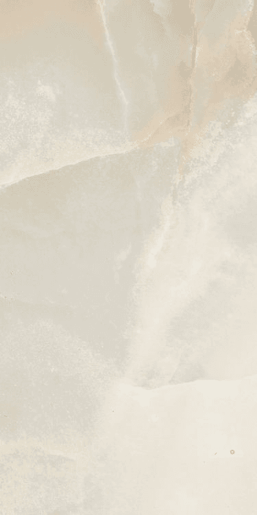 REVES PERLE MATTE 12" X 24"