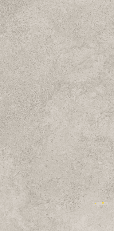 RANIA GRIS MATTE 24" X 48"