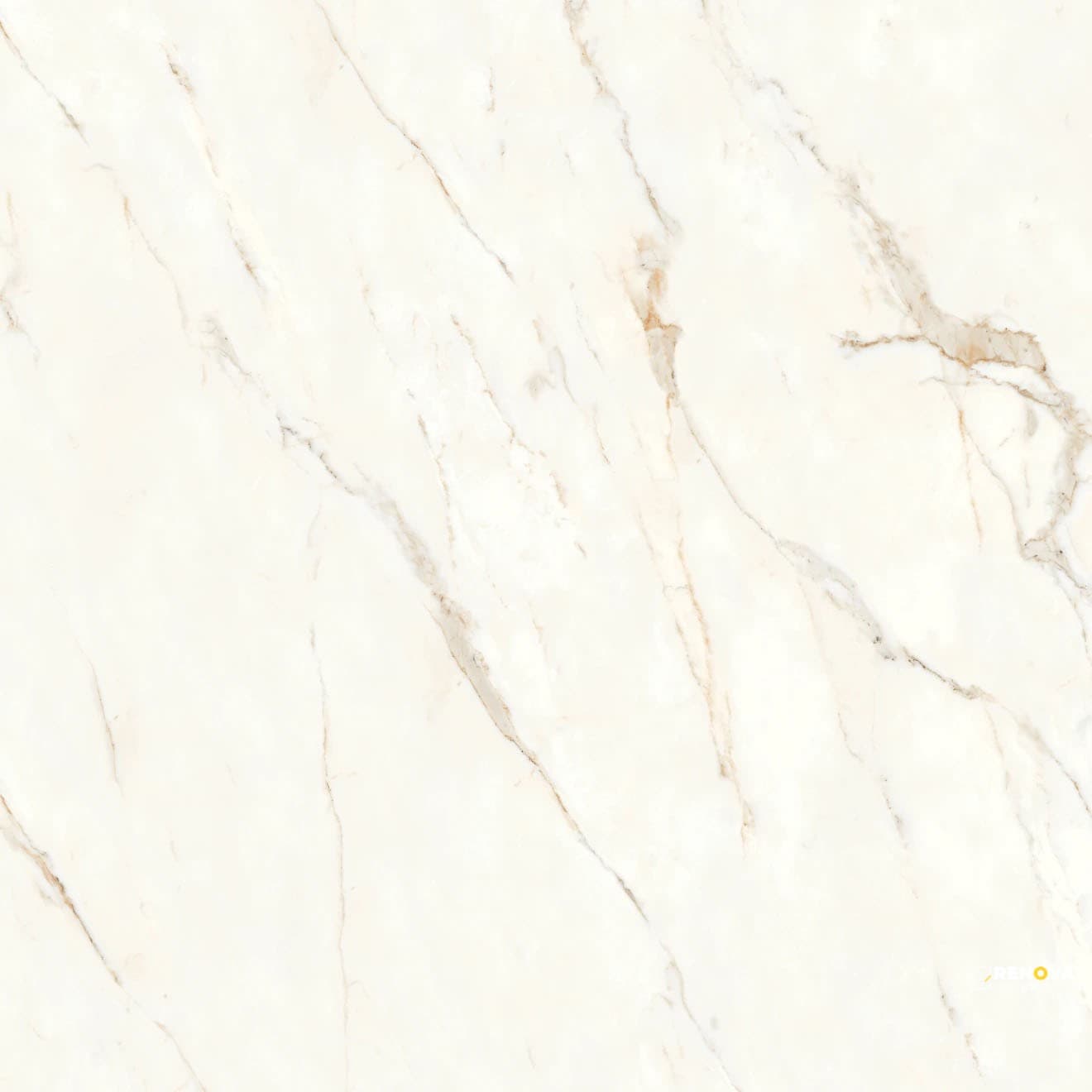 MAGNIFICA NINETEEN FORTY EIGHT CALACATTA ORO POLISHED 48" X 48"