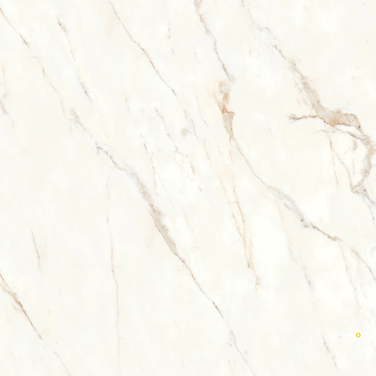 MAGNIFICA NINETEEN FORTY EIGHT CALACATTA ORO HONED 48" X 48"