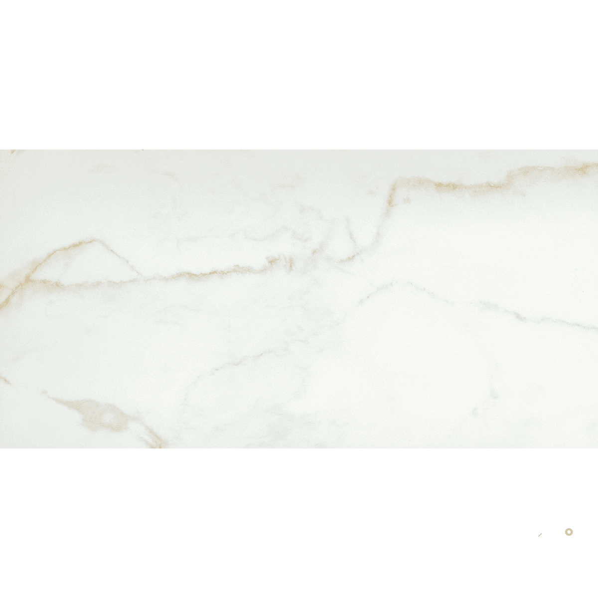 VISCONDE POLISHED 12X24
