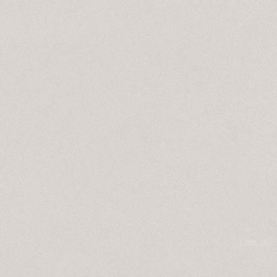 Daltile ONE Quartz Argos Countertop Slab