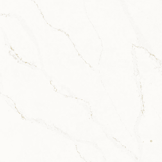 Daltile ONE Quartz Calacatta Alabaster Countertop Slab