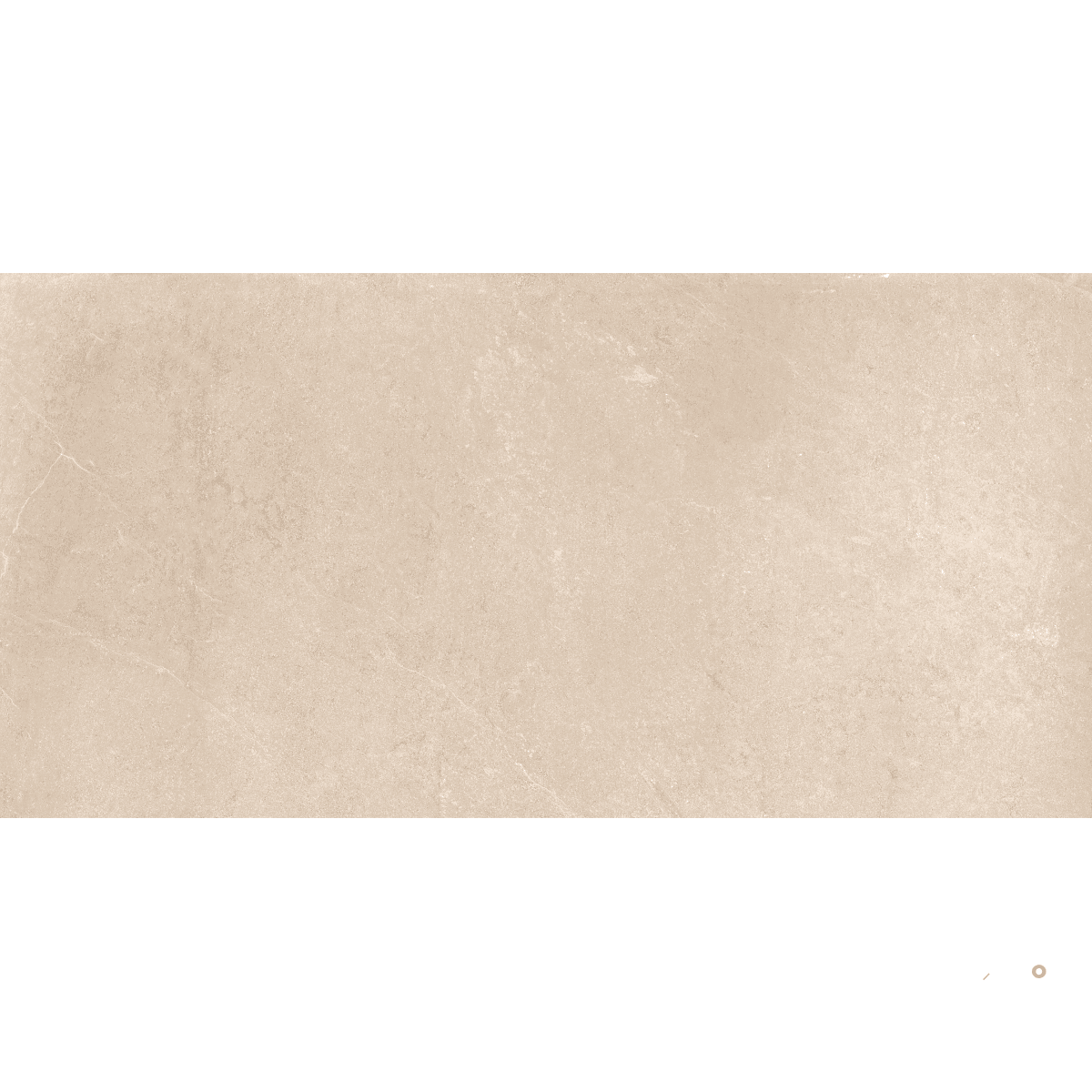 VERNON MATTE 12X24