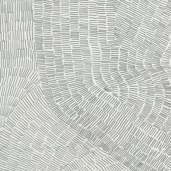 FOSSIL 5-PATTERN RANDOM MIX 24" X 24"
