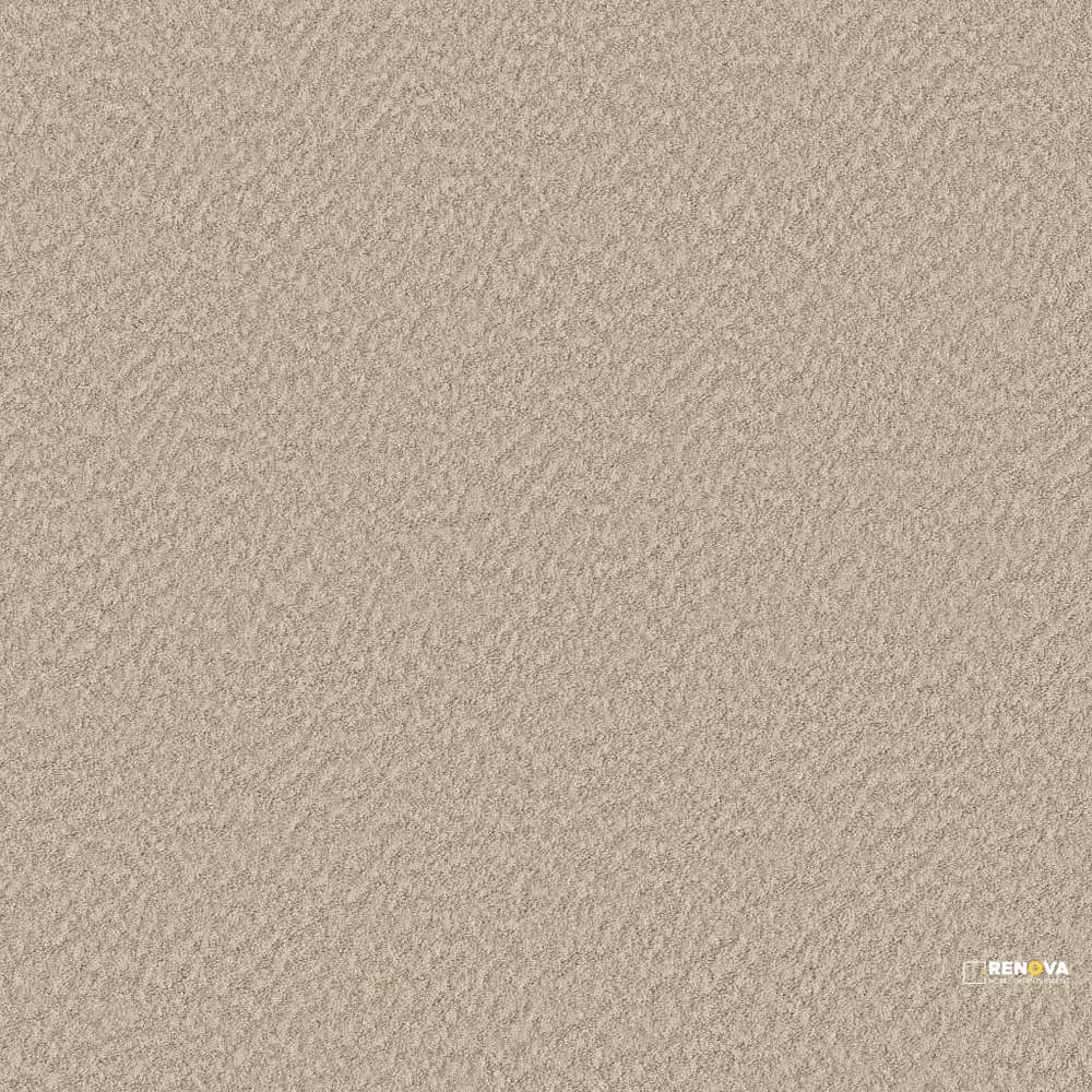 ALLURING CANVAS