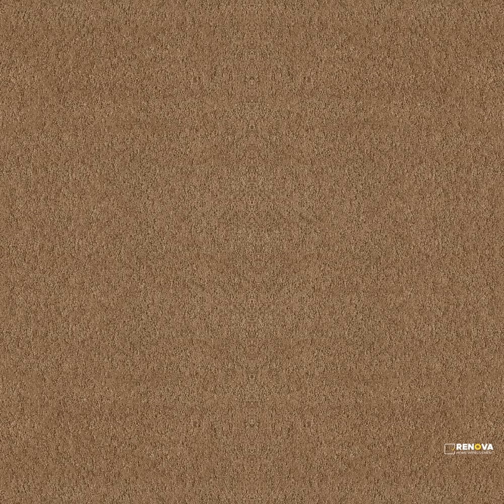 ALLURING CANVAS