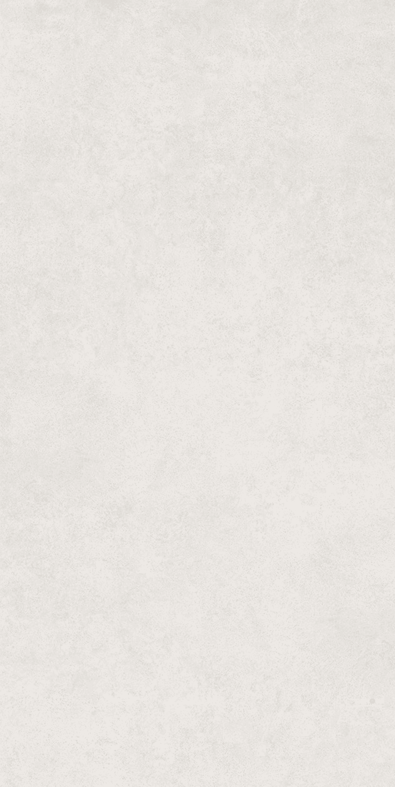 VICEVERSA 24" X 48" - STATIL2122