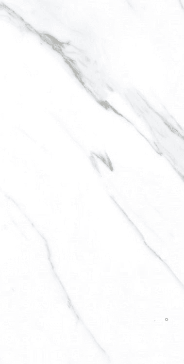 AGL CARRARA POLISHED 12" X 24"