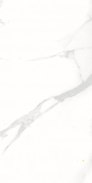 AGL STATUARIO POLISHED 12" X 24"