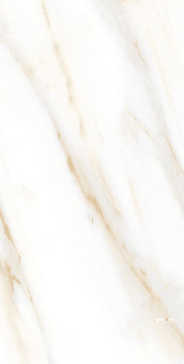 AGL CALACATTA GOLD POLISHED 12" X 24"
