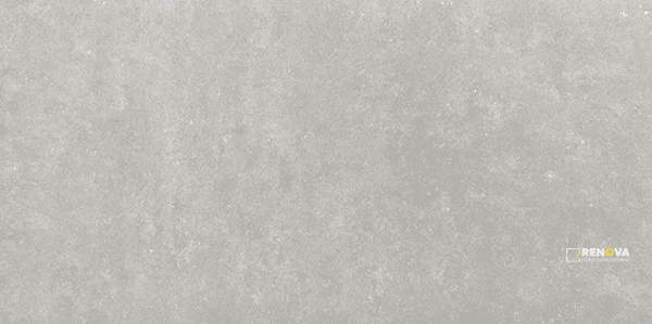 TIMELESS SEAL NATURAL 12" X 24"