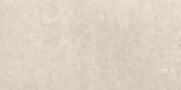 TIMELESS TAUPE NATURAL 24" X 48"