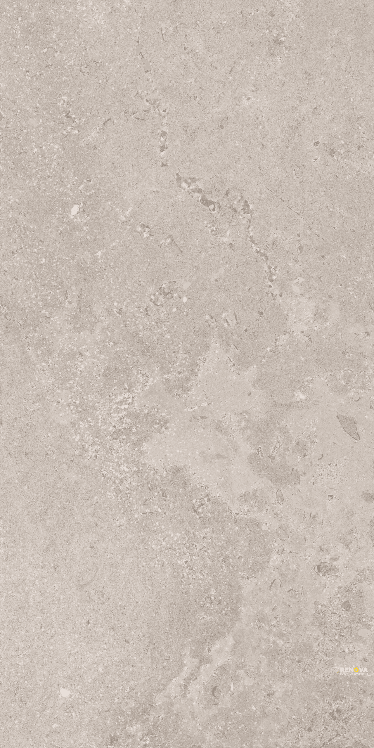 TIMELESS TAUPE NATURAL 12" X 24"