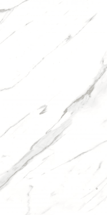 AGL CARRARA MATTE 24" X 48" - ELYTIL2553