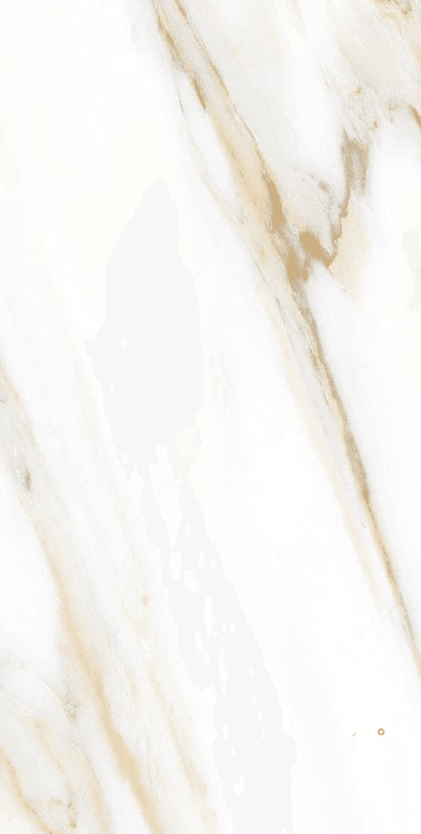 AGL CALACATTA GOLD MATTE 24" X 48" - ELYTIL2554