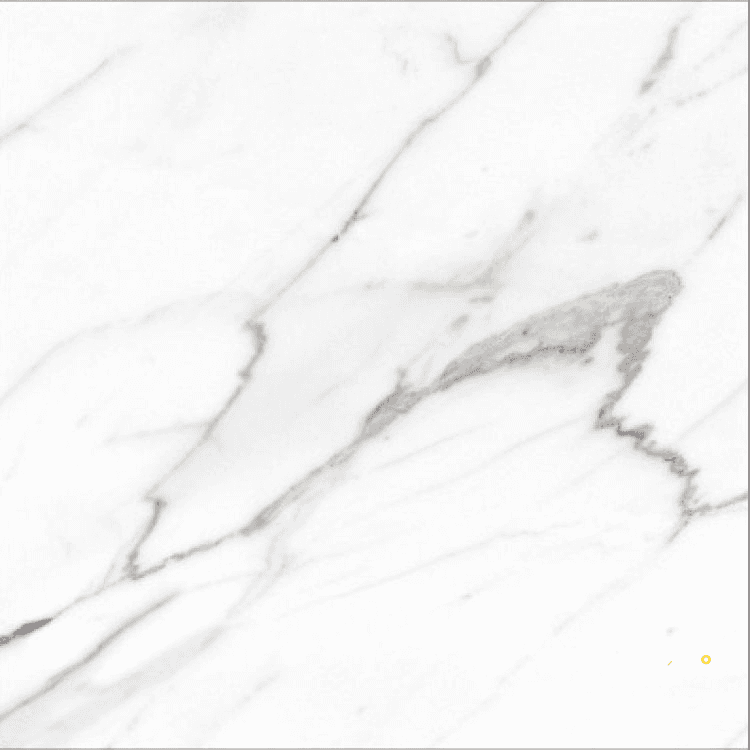 AGL CARRARA POLISHED 24" X 24" - ELYTIL2564