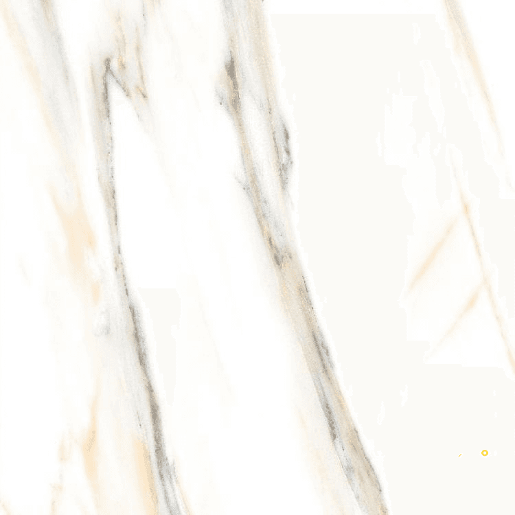 AGL CALACATTA GOLD POLISHED 24" X 24" - ELYTIL2563