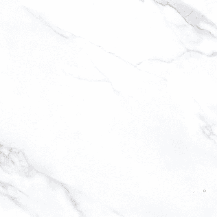 AGL STATUARIO POLISHED 24" X 24" - ELYTIL2565
