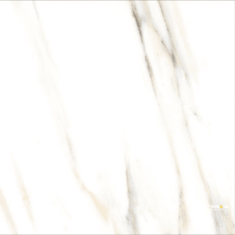 AGL CALACATTA GOLD MATTE 24" X 24" - ELYTIL2566