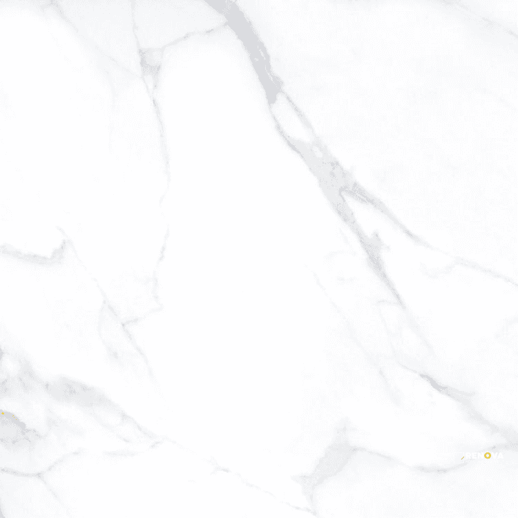 AGL STATUARIO MATTE 24" X 24" - ELYTIL2568