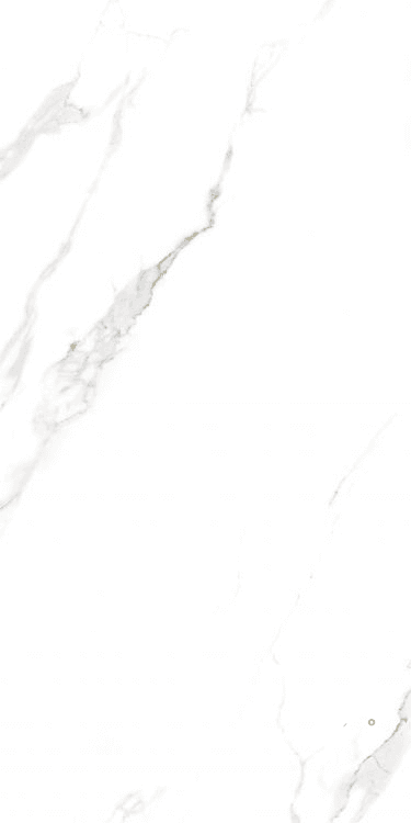 AGL STATUARIO POLISHED 24" X 48" - ELYTIL2572