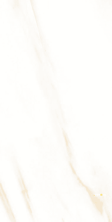 AGL CALACATTA GOLD POLISHED 24" X 48" - ELYTIL2570