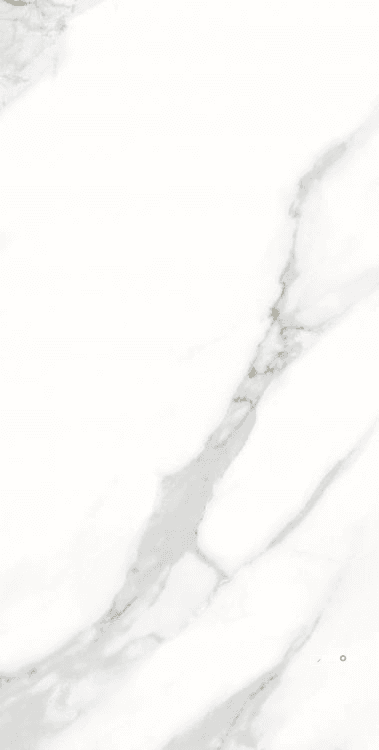 AGL STATUARIO MATTE 12" X 24"