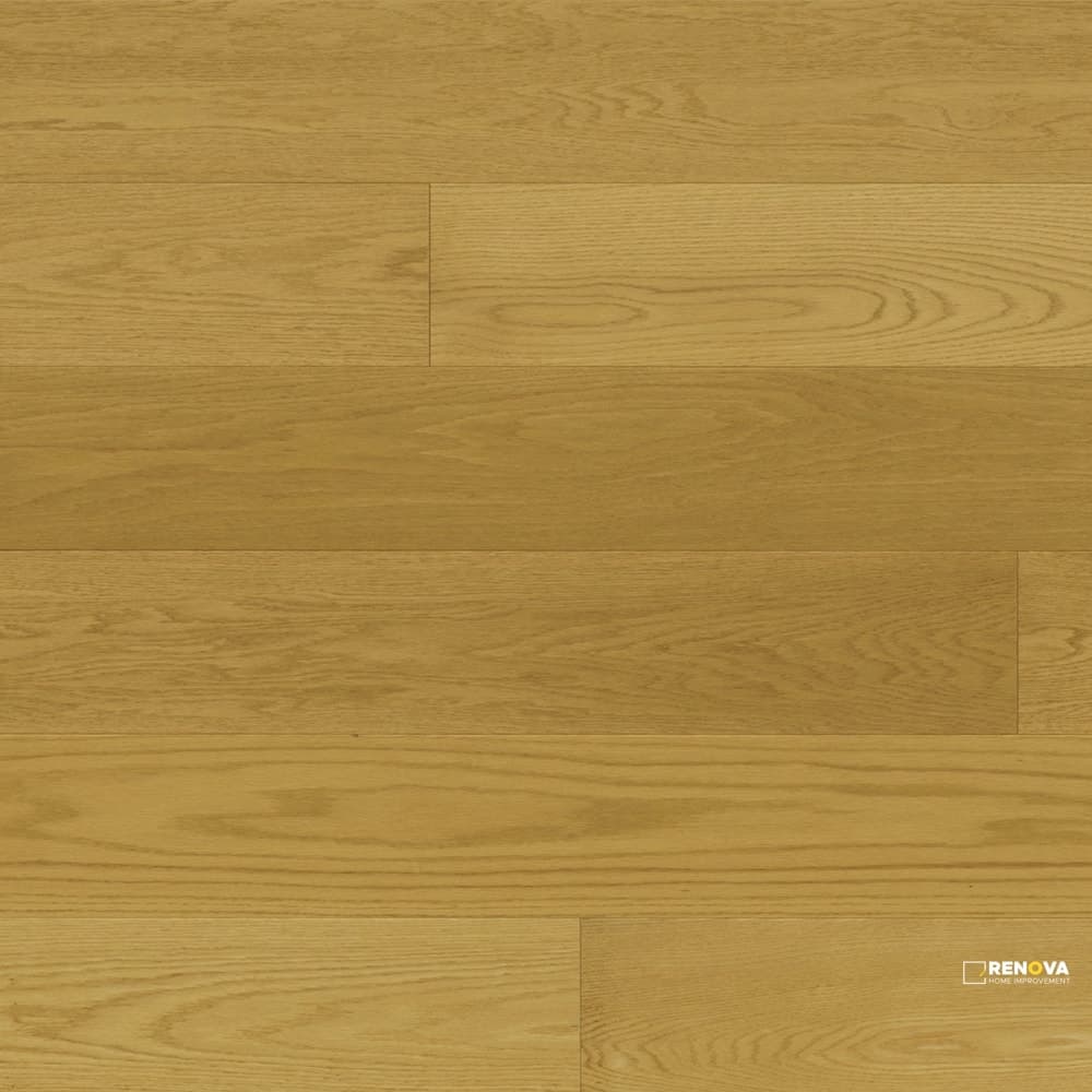 RED OAK PREMIO ARIA 6-1/2" - ENGINEERED - MONARCH