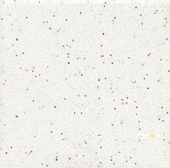 UNGLAZED MOSAICS MATTE STRAIGHT JOINT 2X2 GRP1 - 12X24