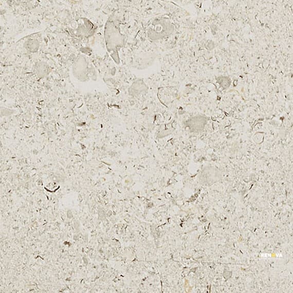 DIGNITARY TEXTURED XTERIOR PAVER 24X24