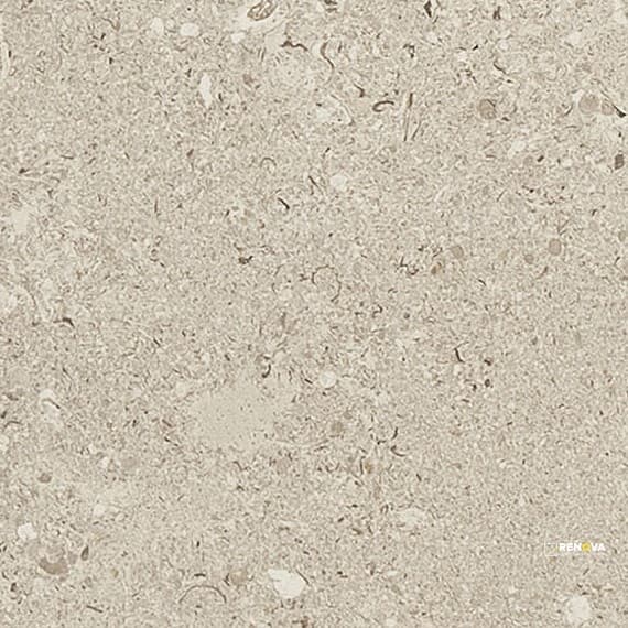 DIGNITARY MATTE 24X48