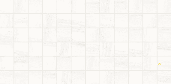 LINDEN POINT MATTE STRAIGHT JOINT MOSAIC 2X2 - 12X24