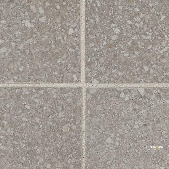 NEOSPECK MATTE 12X24