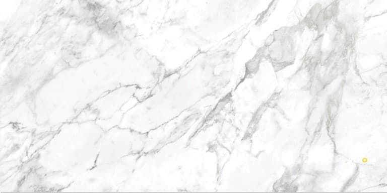 VIENNA POLISHED 12X24