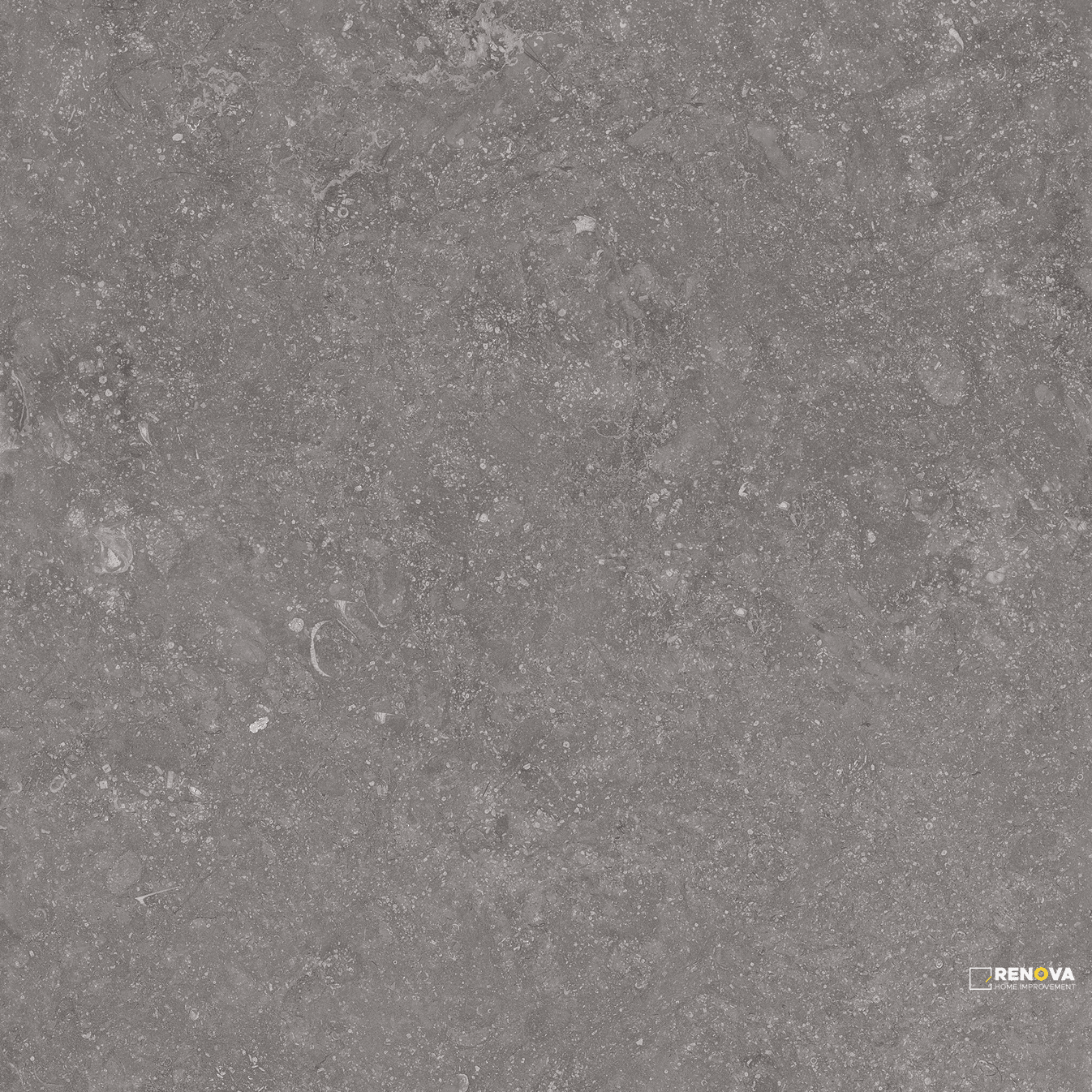 CROSSVILLE BELJN CANAL GRAY 24X24 FIELD UNPOLISHED