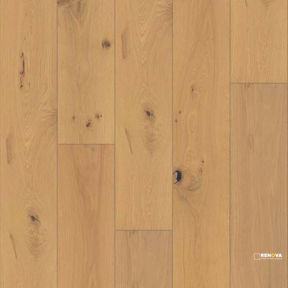OAK EXPRESSIONS 9-1/2" - ENGINEERED - SHAW